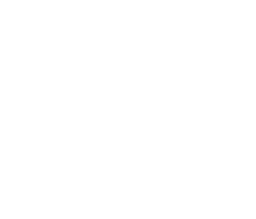 Pranegemeinschaft T17 Logo